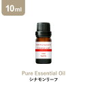 \LINE登録で13%OFFクーポン/アロマオイル 精油【10ml】シナモンリーフ エッセンシャルオイル アロマディフューザー アロマ 使い方 おすすめ ディフューザー シナモン