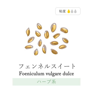 【単品】【5ml】フェンネルスイート フェンネル ウイキョウ 精油 アロマオイル 加湿器 精油 収納 昼用夜用 ブレンド アロマ アロマディフューザー アロマ加湿器 アロマキャンドル アロマストーン おしゃれ アロマランプ pb