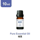\LINE登録で13%OFFクーポン/アロマオイル 精油【国産 和精油 ヒバ】【10ml】国産ヒバ ひば 桧葉 檜葉 精油 アロマディフューザー アロマ エッセンシャルオイル 使い方 おすすめ ディフューザー 人気 作り方 部屋