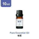 アロマオイル 精油【国産 和精油 ヒバ】【10ml】国産ヒバ ひば 桧葉 檜葉 精油 アロマディフューザー アロマ エッセンシャルオイル 使い方 おすすめ ディフューザー 人気 作り方 部屋