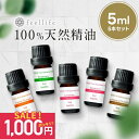 SALE【1000円ポッキリ】アロマオイル セット 精油【5ml】シーンで選べる 5ml × 5本 セット【エッセンシャルオイル ラベンダー レモングラス オレンジ ローズ ゼラニウム ベルガモット ローズウッド レモン アロマディフューザー アロマ 】送料無料 d2301