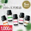 SALE1000ߥݥåۥޥ å 5mlۥ٤ 5ml  5 åȡڥå󥷥륪 ٥ 󥰥饹   ˥ ٥륬å å  ޥǥե塼  ̵ d2301