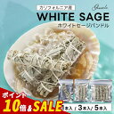 【SALE】ホワイトセージ 浄化用 Gissele (ジゼル) ホワイトセージ バンドル 1本 3本 ...