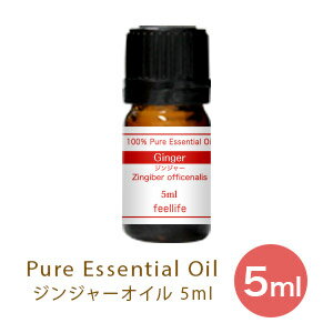 【単品5ml】ジンジャー アロマオイル 精油 アロマ エッセンシャルオイル ディフューザー ガラスボトル 詰め替え アロマディフューザー 加湿器 卓上 おしゃれ 空気清浄機 ハイブリッド ペットボトル スチーム pb