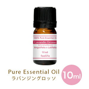 【単品10ml】ラバンジングロッソ アロマオイル 精油 アロマ エッセンシャルオイル ディフューザー ガラスボトル 詰め替え アロマディフューザー 加湿器 卓上 おしゃれ 空気清浄機 ハイブリッド ペットボトル スチーム pb