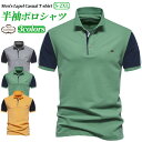 【GW応援15%off】ポロシャツ 半袖 スポーツ 速乾 透けない 綿 大きいサイズ 段だら スポーツウェア トップス ゴルフ きれいめ シンプル おしゃれ テニスウェア 夏用 かっこいい 半袖tシャツ 快適 吸汗速乾 メンズファッション 青少年 プレゼント 通勤 通学 スタイリッシュ(4)