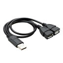SKB12 USB2.0分岐ケーブル データ通信&充電 2.0Aオス-メス+メス ブースト 二股 LEDテープ