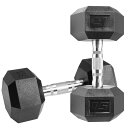 RITFIT PVC製 六角型ダンベル5kg/10kg/15kg/20kg/25kg 筋トレ 家庭用ダンベル 鉄アレイ ヘックスダンベル 無臭素材 静音 ホーム...