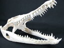 PELGIOクロコダイルの頭の部分新品未使用8