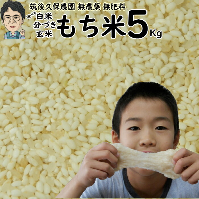 無農薬 無肥料栽培 もち米 5Kg|福岡県産ひよくもち筑後久保農園選べる 玄米 分づき 白米自然栽培米