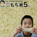 無農薬 無肥料栽培 もち米 5Kg|福岡県産ひよくもち筑後久保農園選べる 玄米 分づき 白米自然栽培米 1