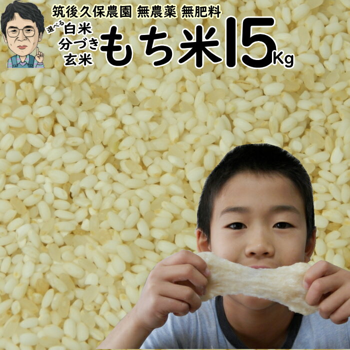 無農薬 無肥料栽培 もち米 15Kg|福岡県産ひよくもち筑後久保農園選べる 玄米 分づき 白米自然栽培米