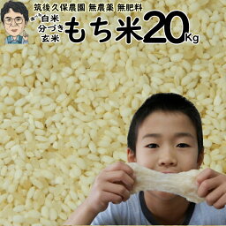 無農薬 無肥料栽培 もち米 20Kg|福岡県産ひよくもち筑後久保農園選べる 玄米 分づき 白米自然栽培米