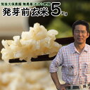 令和2年産 無農薬 ボカシ肥料 発芽前玄米 5Kg|福岡県産 元気つくし0.5分づき米筑後久保農園自然栽培米