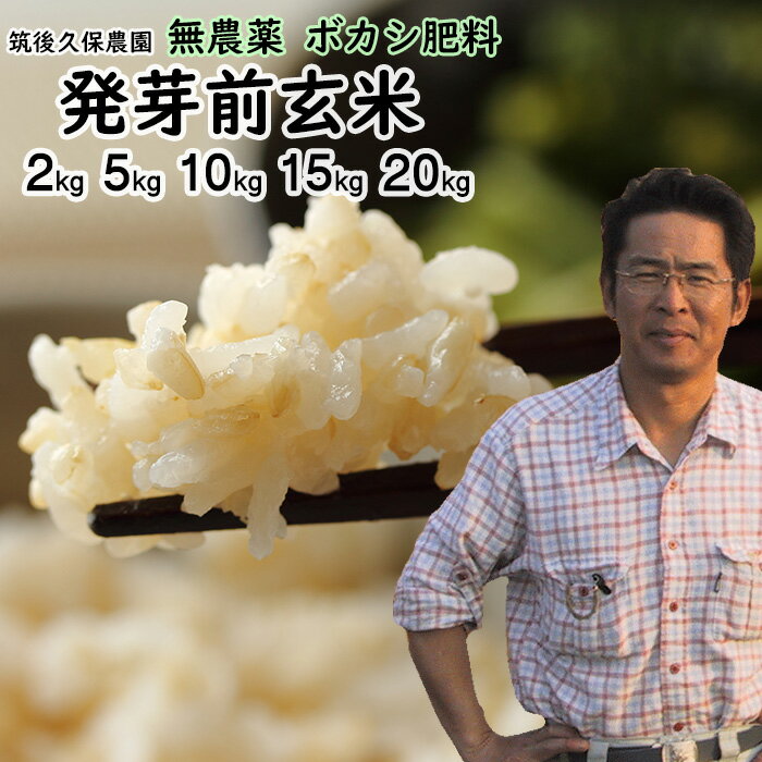 熊本産 古代米 4穀 200g 赤米 黒米 緑米 発芽玄米 GABA お試し 国産 送料無料 メール便限定 【代引不可】