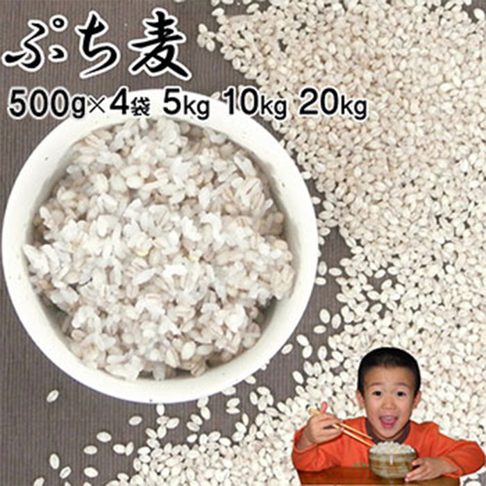 Ղ |Iׂ 500g~4 5kg 10kg 20kg_ 唞Y}v۔_тƈꏏɐĔіXp۔yzykC+500~+300~z