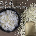 もち麦 |選べる 500g×4袋 5kg 10kg 20kg 大麦 くすもち二条無農薬筑後久保農園福岡県産 国産【筑後久保農園出荷】【送料無料】【送料北海道+500円沖縄+300円】