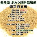 無農薬 ボカシ肥料 発芽前玄米|選べる 2kg 5kg 10kg 15kg 20kg福岡県産 にこまる0.5分づき米筑後久保農園 2