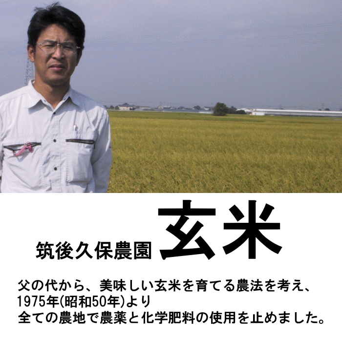 無農薬 無肥料 栽培米 5Kg//玄米|福岡県産 ゆめつくし筑後久保農園無農薬 玄米自然栽培米