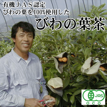 有機栽培 びわ茶 30包//ポスト投函専用|オーガニック認定農園びわの葉茶無農薬福岡県産【送料無料】