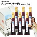 父の日 ギフトくだもの酢ブルーベリー酢 300ml×6本入【送料無料 沖縄+300円】飲む酢フルーツのドリンク酢フルーツ酢果実酢内祝い お中元 御中元 お歳暮 御歳暮 出産祝い お返し 誕生日 母の日 敬老の日
