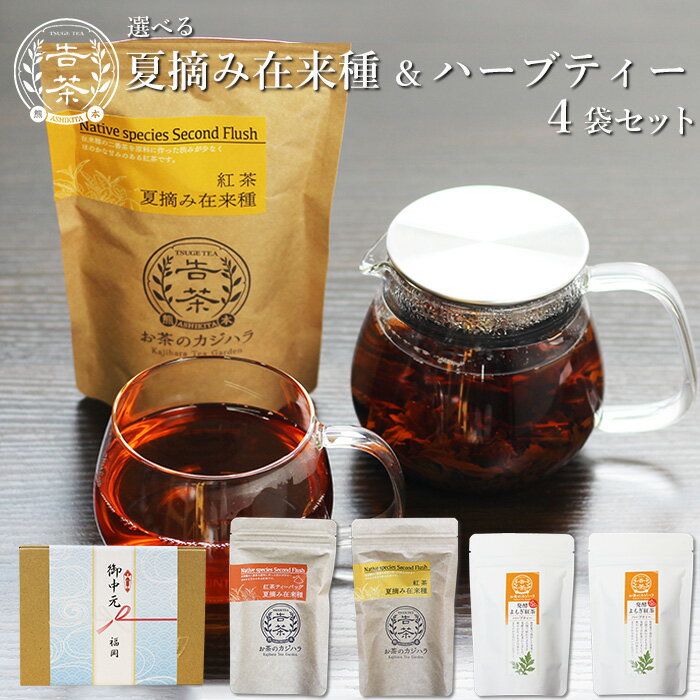 Ŧȥϡ֥ƥޥå|٤Ŧߺ꡼orƥХå󥰥饹⤮渵лˤ֤˥եϷ