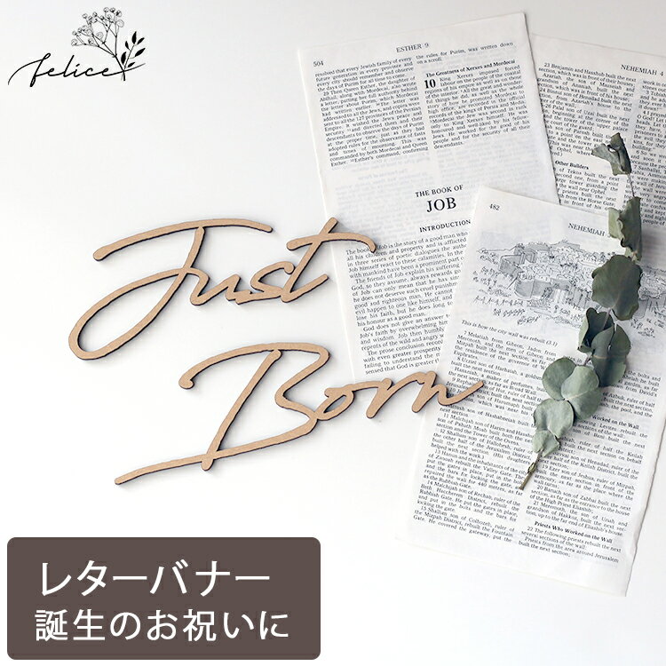 【ポイント10倍!5/9(金)20:00~5/16(金)1:59】Just Born ウッドレター No.6シリーズ | 木製 | 出産 新生児 赤ちゃん 誕生日 お祝い ベビーアルバム おしゃれ かわいい 男の子 女の子 ジャストボーン justborn ベビーシャワー sns インスタ 飾り付け ガーランド