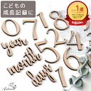 【10％OFFクーポン！4/24(水)20:00～23:59】レターバナーセット No.1シリーズ | 木製 | おしゃれ ウッド 誕生日 マンスリーカード マンスリーフォト 月齢 フォト 月齢フォト ガーランド お誕生日 飾り ハーフバースデー ケーキ ハンドメイド 100日祝い アルバム 1