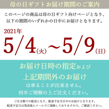 母の日 早割 カーネーション プリザーブドフラワー 母の日ギフト 母の日 アレンジメント おしゃれ カーネーション アレンジメント あじさい 花束 アレンジ 小さい 母の日 プリザーブドフラワー カーネーション プレゼント バラ