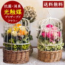 フラワー電報 母の日 プレゼント 花 結婚祝 花 プレゼント プリザーブドフラワー 電報 結婚式 祝電 退職祝い 誕生日プレゼント おしゃれ 花 女友達 母親 女性 義母 結婚記念日 両親 妻 新築祝い 還暦祝い 古希 米寿 お祝い ブリザードフラワー 贈り物 そのまま飾れる母の日ギフト