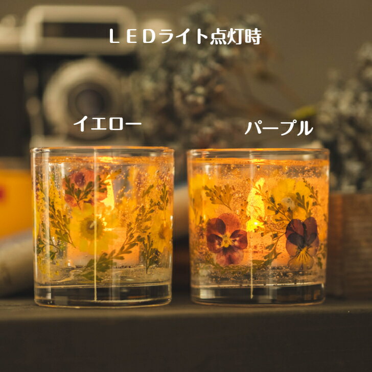 �¥ץ� �ϡ��Хꥦ�� �������ץ쥼��� ���� ������� LED�饤�� ���ե� �ץ����ե� ���� �����ޥ����ɥ� �� �����ɥ�饤�� �ϡ��Хꥦ�� �Ҥޤ�� ���۽ˤ� �뺧�ˤ� ������� �� ���Τޤ޾���� �ץ쥼��� �ۥ磻�ȥǡ� ������