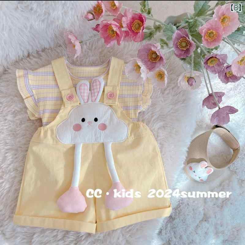 �٥ӡ��� ���λ� �� Ⱦµ �����С������� �������� 2�����å� �ڹ��� ���襤�� ���ʻȤ� ���Ǻ� ���� ������ �ԥ󥯷�