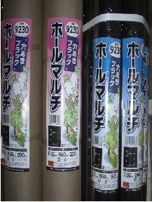 定植に便利な穴あきマルチ
