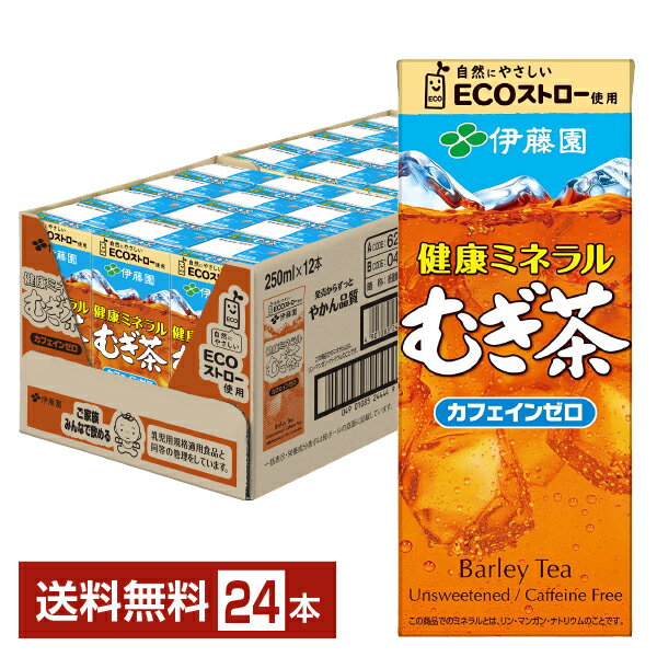 楽天FELICITY Health＆Beauty伊藤園 健康ミネラルむぎ茶 250ml 紙パック 24本 1ケース 【送料無料（一部地域除く）】 麦茶
