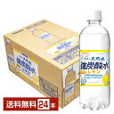 【賞味期限2024年6月】サンガリア 伊賀の天然水 強炭酸水レモン 500ml ペットボトル 24本 1ケース 【送料無料 一部地域除く 】