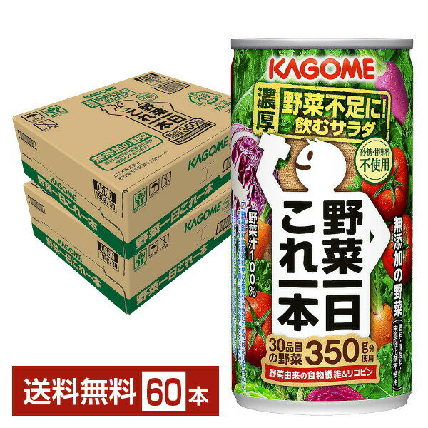 カゴメ 野菜一日これ一本 190g 缶 30本×2ケース（60本）【送料無料（一部地域除く）】 野菜ジュース