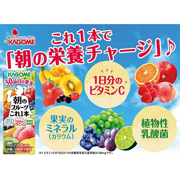 【先着順 最大500円OFFクーポン取得可】カ...の紹介画像3