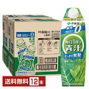 栄養機能食品 伊藤園 毎日1杯の青汁 すっきり無糖 1L 1000ml 紙パック 屋根型キャップ付容器 6本×2ケース(12本)【送料無料(一部地域除く)】(4)