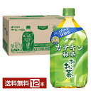 特定保健用食品 伊藤園 おーいお茶 カテキン緑茶 1L 1000ml ペットボトル 12本 1ケース トクホ 【送料無料（一部地域除く）】 お～いお茶