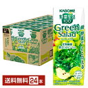  100 ꡼󥵥 200ml ѥå 24 1̵ʰϰˡ ڥ塼 Green Salad