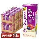 栄養機能食品 マルサン 1日分の鉄分 豆乳飲料 プルーンmix 200ml 紙パック 24本×2ケース（48本）【送料無料（一部地域除く）】 マルサンアイ