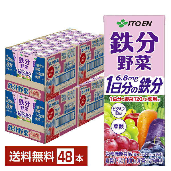 栄養機能食品 伊藤園 鉄分野菜 200ml 紙パック 24本×2ケース（48本）【送料無料（一部地域除く）】 1日分の鉄分のサムネイル