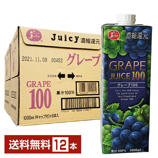 ジューシー グレープ100 濃縮還元 1L 1000ml 紙パック 6本×2ケース（12本）【送料無料（一部地域除く）】 juicy グレープ ぶどう ブドウ 果汁100％