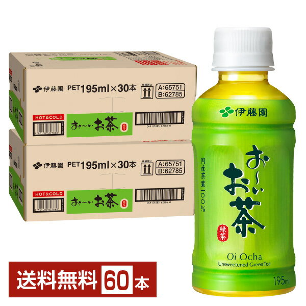 樂天商城 - 伊藤園 おーいお茶 緑茶 195ml ペットボトル 30本×2ケース（60本） 【送料無料（一部地域除く）】 お～いお茶