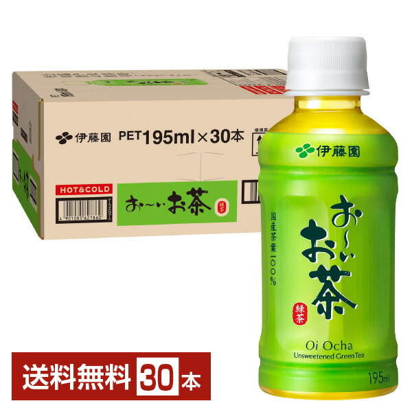 乐天商城 - 伊藤園 おーいお茶 緑茶 195ml ペットボトル 30本入り 1ケース 【送料無料（一部地域除く）】 お～いお茶