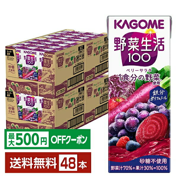 Blueberry - 【先着順 最大500円OFFクーポン取得可】カゴメ 野菜生活 100 ベリーサラダ 200ml 紙パック 24本×2ケース（48本）【送料無料（一部地域除く）】 野菜ジュース