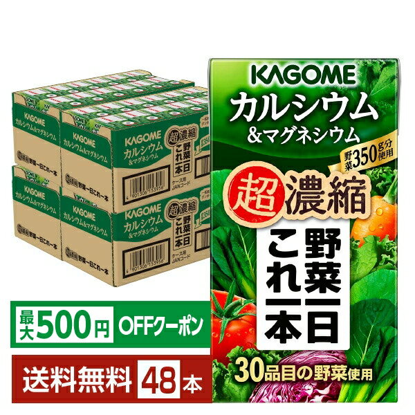 【先着順 最大500円OFFクーポン取得可】カゴ...の商品画像