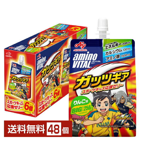 味の素 アミノバイタル ゼリードリンク ガッツギア りんご味 250g パウチ 24個×2ケース（48個）