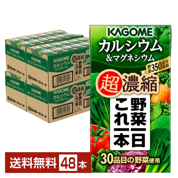 ポイント10倍 カゴメ 野菜一日これ一本 超濃縮 カルシウム＆マグネシウム 125ml 紙パック 24本×2ケース（48本）【送料無料（一部地域除く）】 野菜ジュース