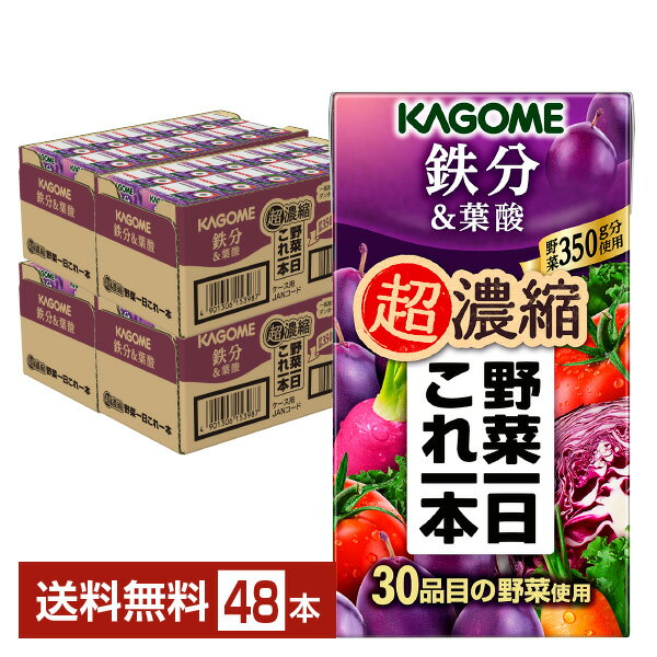 カゴメ 野菜一日これ一本 超濃縮 鉄分＆葉酸 125ml 紙パック 24本×2ケース（48本）【送料無料（一部地域除く）】 野菜ジュース